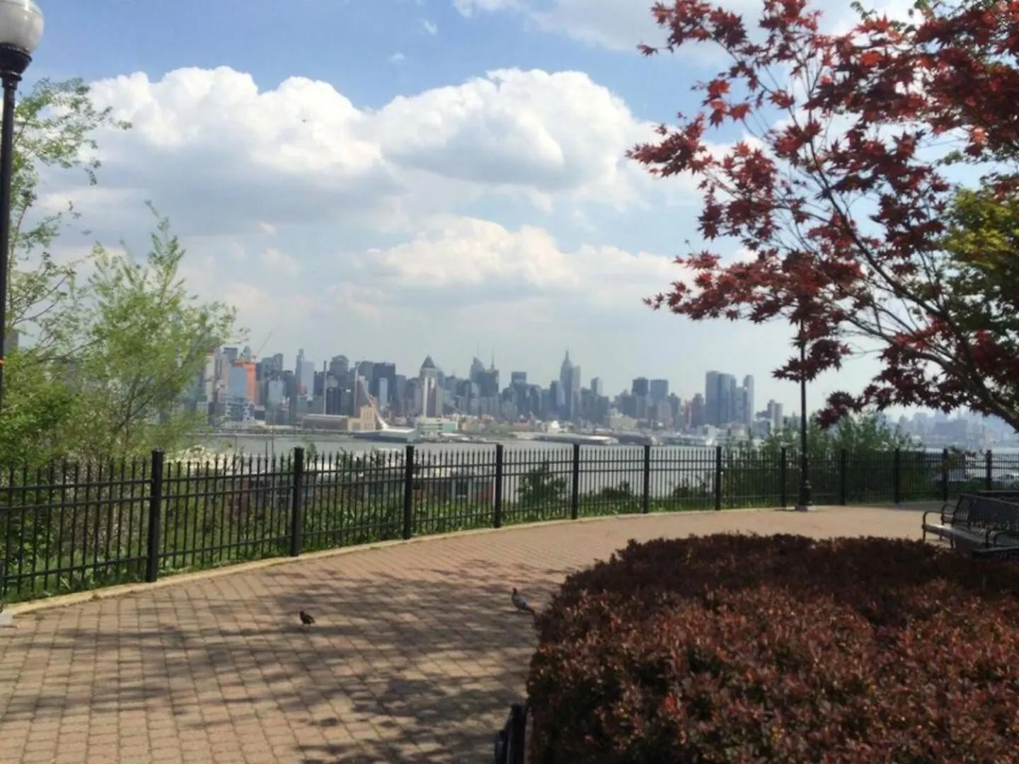 Apartment Cozy Spacious,1Bed Suite 10 Min To Nyc &Times Sq West New York